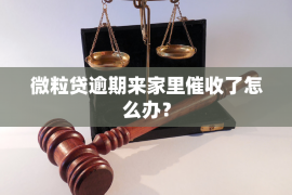 协助杨先生追讨女朋友欠债